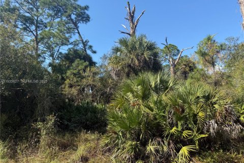 Terreno en venta en Clewiston, Florida № 1993752 - foto 5