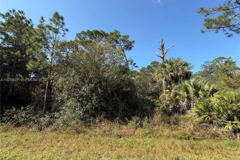 Terreno en venta en Clewiston, Florida № 1993752 - foto 6
