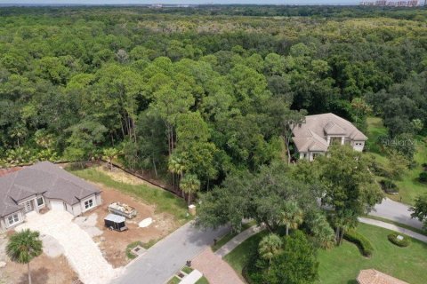 Terreno en venta en Palm Coast, Florida № 1343538 - foto 6