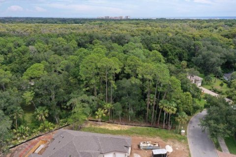 Terreno en venta en Palm Coast, Florida № 1343538 - foto 4