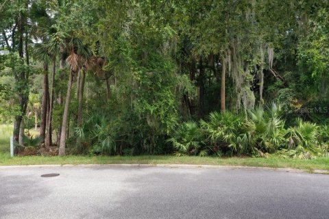 Terreno en venta en Palm Coast, Florida № 1343538 - foto 5