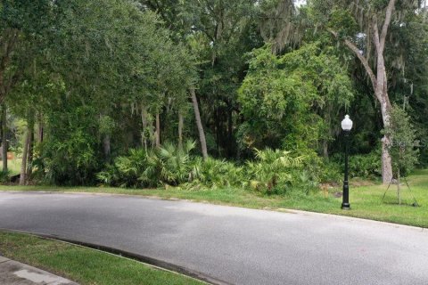 Terreno en venta en Palm Coast, Florida № 1343538 - foto 3