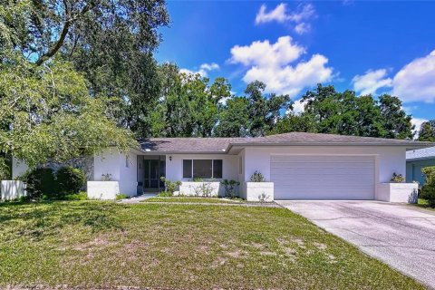 Villa ou maison à vendre à Seffner, Floride: 4 chambres, 216.74 m2 № 1919020 - photo 1