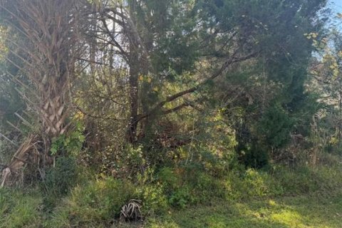 Land in Palm Coast, Florida № 2104391 - photo 5