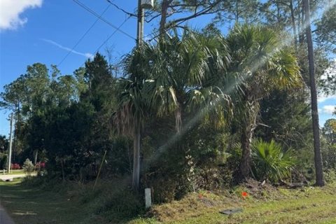 Terrain à Palm Coast, Floride № 2104391