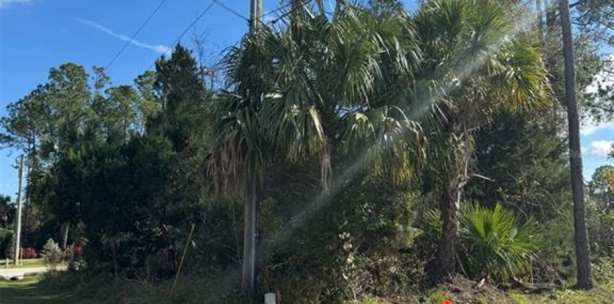 Land in Palm Coast, Florida № 2104391
