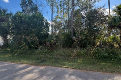 Land in Palm Coast, Florida № 2104391 - photo 4