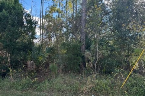 Land in Palm Coast, Florida № 2104391 - photo 3