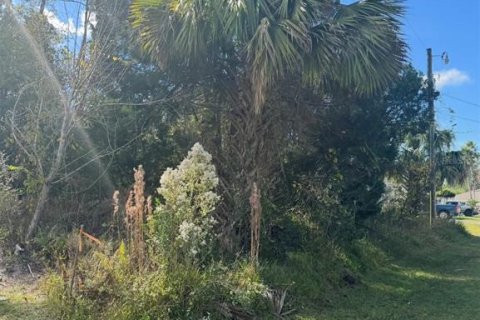 Land in Palm Coast, Florida № 2104391 - photo 2