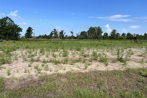 Terreno en venta en Astatula, Florida № 1759333 - foto 2