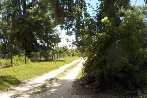 Villa ou maison à vendre à Ocala, Floride: 4 chambres, 112.04 m2 № 2207419 - photo 8