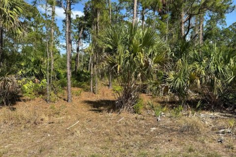 Terreno en venta en Port Charlotte, Florida № 1816530 - foto 1