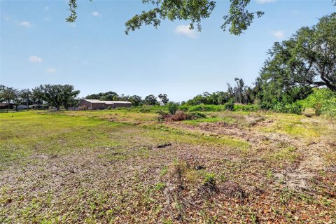 Land in Ruskin, Florida № 2214607 - photo 12