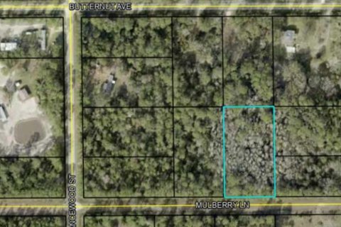 Land in Bunnell, Florida № 2258538