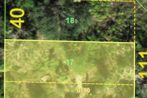 Купить земельный участок в Пунта-Горда, Флорида № 2162613 - фото 3