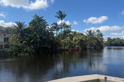 Copropriété à louer à Oakland Park, Floride: 1 chambre, 54.63 m2 № 2414654 - photo 16