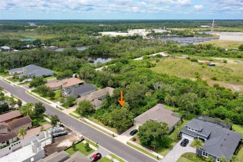 Terreno en venta en Palm Coast, Florida № 1824107 - foto 12
