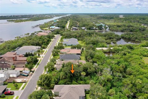 Terreno en venta en Palm Coast, Florida № 1824107 - foto 11