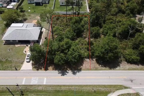 Land in Punta Gorda, Florida № 2161629