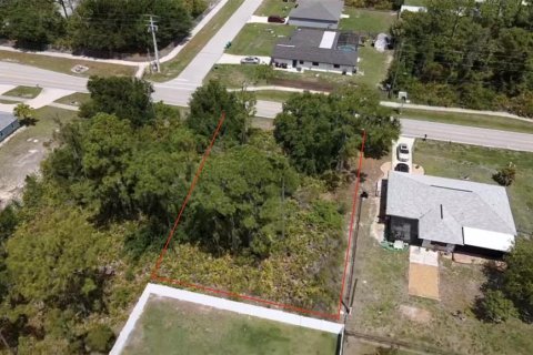Land in Punta Gorda, Florida № 2161629 - photo 3