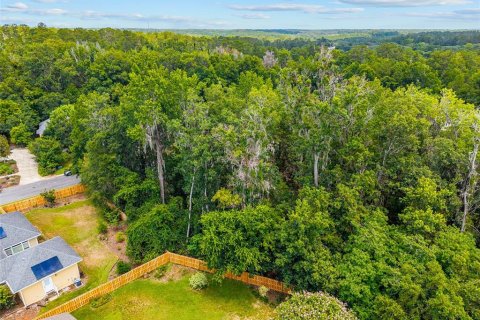 Land in Gainesville, Florida № 2238768 - photo 8