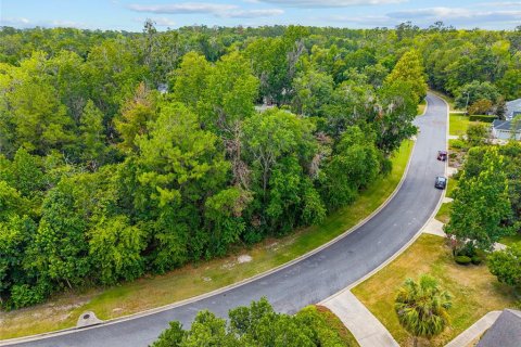 Land in Gainesville, Florida № 2238768 - photo 4
