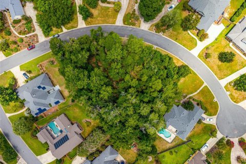 Land in Gainesville, Florida № 2238768 - photo 11
