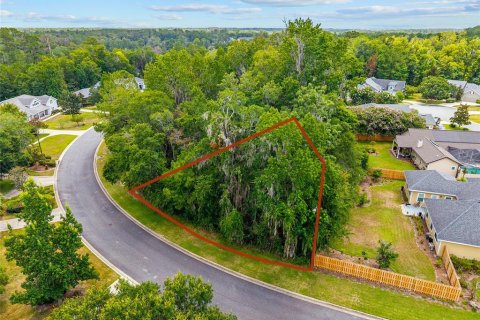 Land in Gainesville, Florida № 2238768 - photo 6