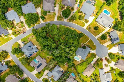 Land in Gainesville, Florida № 2238768 - photo 12