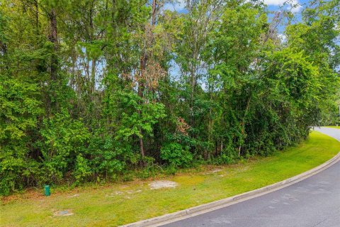 Land in Gainesville, Florida № 2238768 - photo 3