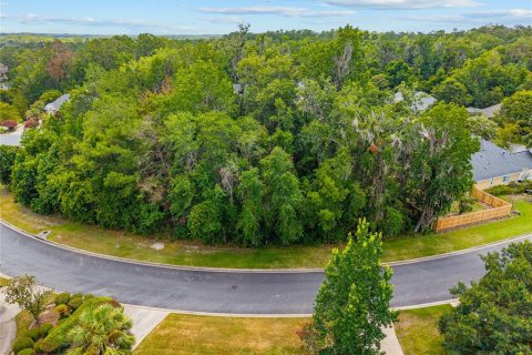 Land in Gainesville, Florida № 2238768 - photo 5