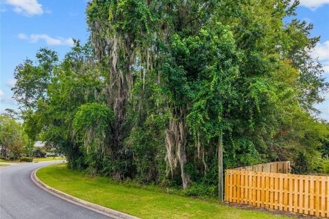 Land in Gainesville, Florida № 2238768 - photo 2