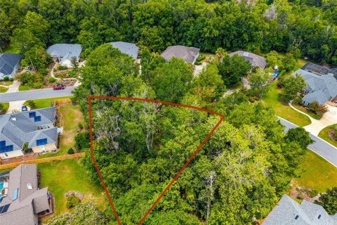 Land in Gainesville, Florida № 2238768 - photo 9