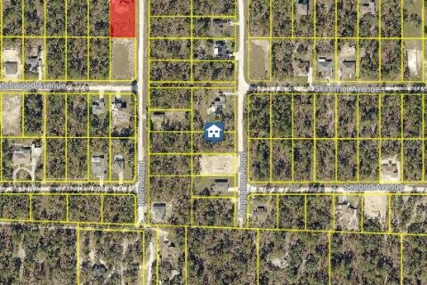 Land in Weeki Wachee, Florida № 2235057 - photo 2