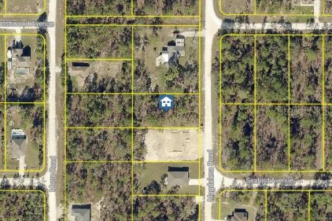 Land in Weeki Wachee, Florida № 2235057