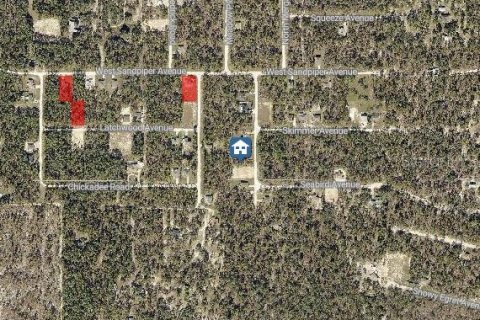 Land in Weeki Wachee, Florida № 2235057 - photo 3