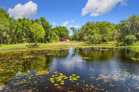 Terreno en venta en Leesburg, Florida № 1647755 - foto 14