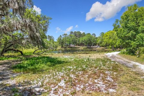 Terreno en venta en Leesburg, Florida № 1647755 - foto 5