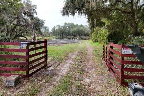 Terreno en venta en Leesburg, Florida № 1647755 - foto 2