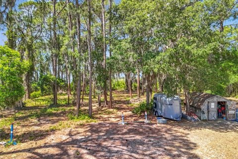 Terreno en venta en Leesburg, Florida № 1647755 - foto 8