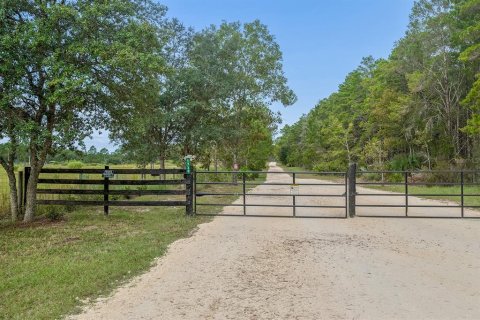 Villa ou maison à vendre à Williston, Floride: 3 chambres, 214.6 m2 № 2408277 - photo 3