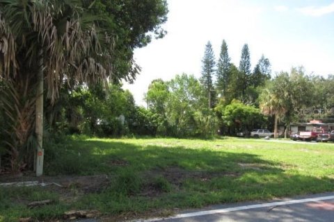 Land in Casselberry, Florida № 1903242 - photo 1