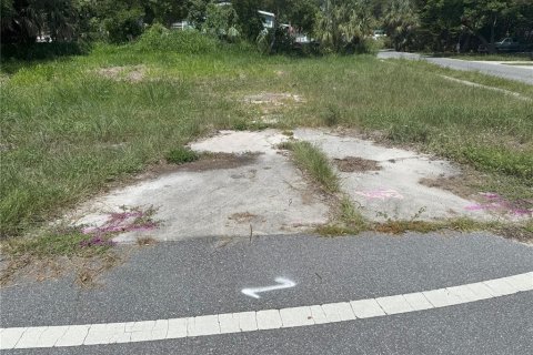 Land in Casselberry, Florida № 1903242 - photo 4