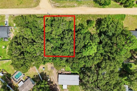 Land in Belleview, Florida № 2366967