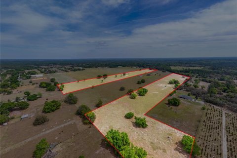 Terreno en venta en Eustis, Florida № 1913444 - foto 1