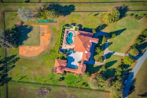 House in Thonotosassa, Florida 10 bedrooms, 895.02 sq.m. № 1534070 - photo 7
