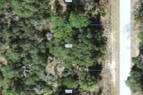 Land in Citrus Springs, Florida № 2388258