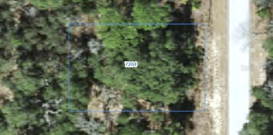 Land in Citrus Springs, Florida № 2388258