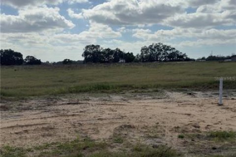 Land in Thonotosassa, Florida № 1001199 - photo 1