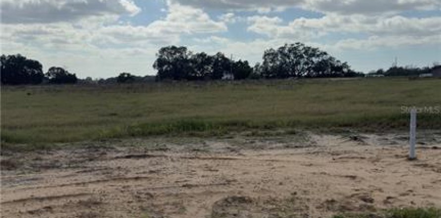 Land in Thonotosassa, Florida № 1001199